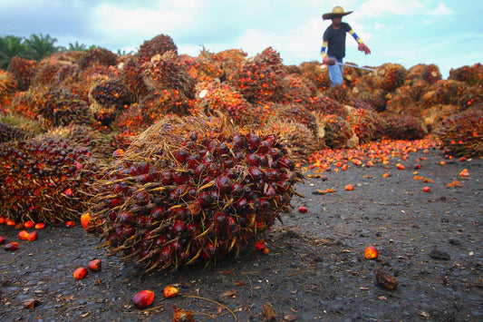 Vegetable oil prices soar, far outstripping other food inflation